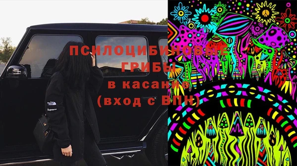 гидра Балахна